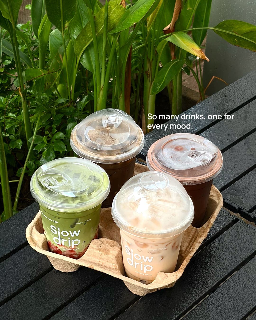 Four drinks lineup